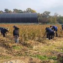 동산2리 이미지