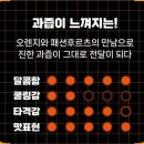 필전자 이미지