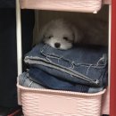 장등로19번길R | 크리스마스 완전 징글징글 징글벨🎵🎶