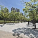 새물근린공원 이미지