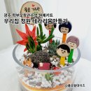 신창초등학교(병설유치원 포함) | 광주 학부모참관수업 원예키트 신창초등학교병설유치원 행복한 정원 테라리움 만들기