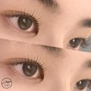 “나의 속눈썹은 왜 항상 내려앉는가?” - 속눈썹펌이 내 인생을 바꾼 이야기