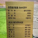 일우사우나 이미지