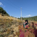 고흥우주주유소 이미지