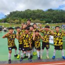 성모초교 이미지