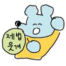 하이샐러드 이미지