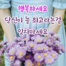 멋진 하루 이미지