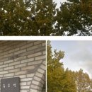 중앙 셀프 세차장 이미지