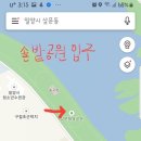 솔밭공원 농구장 이미지