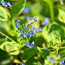 차한의원 이미지