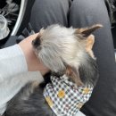 나산경로식당 | 호야랑 경주여행