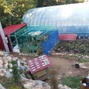 반딧불민박 이미지