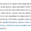 보신탕 음식점이 불법이 된 계기 이미지