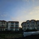 뉴해안풍경 이미지