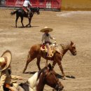로데오 이미지