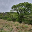 미현리농장 이미지