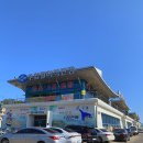 경주 수협활어직판장 교동법주 후기