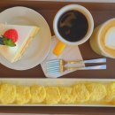 리브레브 이미지