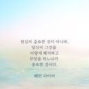 웨인 이미지