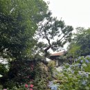돌 민박 | [하동/구례 숙소] 묘향민박 촌캉스 돌로미티방 자세한 후기
