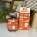 멍뭉펫 | 다이소 신상 강아지 용품 추천 : 강아지피부영양제 헬로마이펫 멍뭉케어 피부 리얼 후기