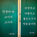 고기서고기 이미지