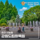 강원도립화목원 | 춘천큐레이터가 소개하는 아이와 가볼만한 곳 강원도립화목원