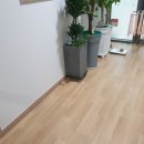 동남칸타빌어린이집 네이버블로그