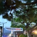 정든생각 | [거제도 맛집] 학동몽돌해수욕장 내돈내산 횟집, 가성비 모둠회 '정든횟집' 솔직 후기