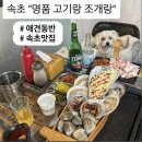 명품애견 | 속초 애견동반 가능 "명품 고기랑 조개랑" 내돈내산 솔직 후기