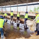 정상태농장 이미지