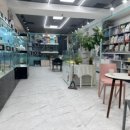 리얼독스 강아지분양 일산본점 이미지