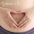 참사랑어머니회 이미지