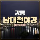 남대천보행교 | 강원도 강릉야경 아름다운야경 뷰 남대천야경, 남대천, 월화거리야경, 월화정, 서울근교 당일치기...