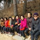 오례오리 Daum카페