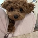 석민농장 이미지