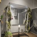 오늘의 파스타 | 신당역 파스타 맛집 가성비 쩌는 보메청담 후기 (오늘의 파스타 SET)