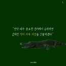 라코스테 티스토리