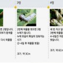 산청군양잠농업협동조합
