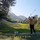 NEW 스크린 골프 이미지