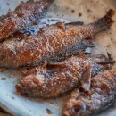 산지물호텔 이미지