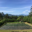 하늘숲초등학교