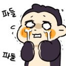 본사이코리아 - 유성구 학하서로121번길 71-8 | 본사이코리아