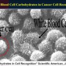 모자연약국 이미지