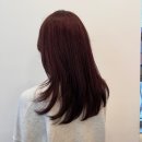 김상희 미용실 | 붉은 빛 한 방울, 분위기까지 물드는 레드브라운🍷 [철산 미용실 아소보헤어 태희]