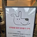 금산 대형카페 🌴하늘물빛정원 식물원카페🌴 후기