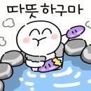 마이리틀프렌드위탁목욕