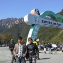젠틀몽 이미지