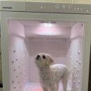 포댕 이미지