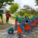 봉산어린이집 이미지